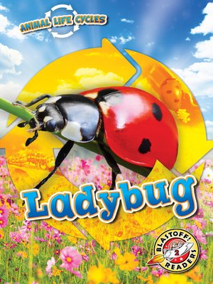 cover image of Animal Life Cycles: Ladybug
